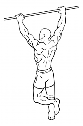 Pull-Ups 1