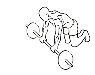 Mastering the Barbell Ab Rollout on Knees: A Comprehensive Guide 5 barbell ab rollout on knees 1