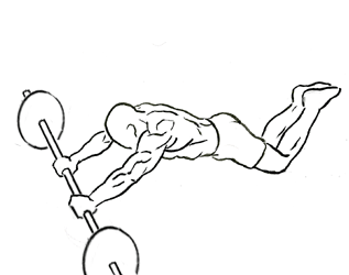 Mastering the Barbell Ab Rollout on Knees: A Comprehensive Guide 4 barbell ab rollout on knees 2