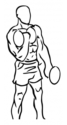 Alternating Bicep Curl with Dumbbell 3 alternating bicep curl dumbbell 1