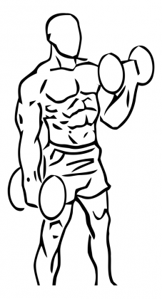 Alternating Bicep Curl with Dumbbell 2 alternating bicep curl dumbbell 2