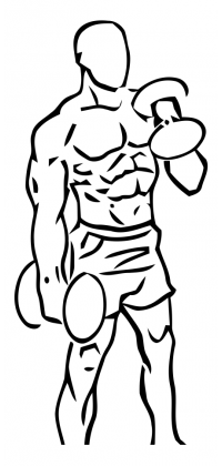 Alternating Hammer Curl with Dumbbell 3 alternating hammer curl dumbbell 2
