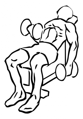 Alternating Incline Curl with Dumbbell 2 alternating incline curl dumbbell 1