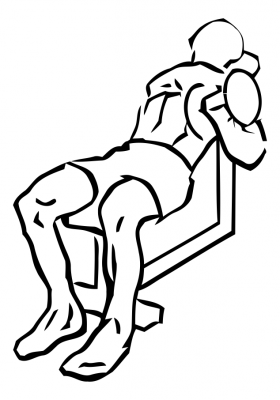 Alternating Incline Curl with Dumbbell 3 alternating incline curl dumbbell 2