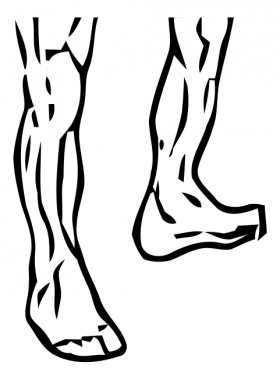 Ankle Circles 2 ankle circles 1