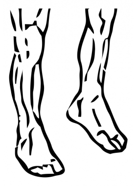 Ankle Circles 3 ankle circles 2