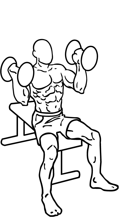 arnold press 2