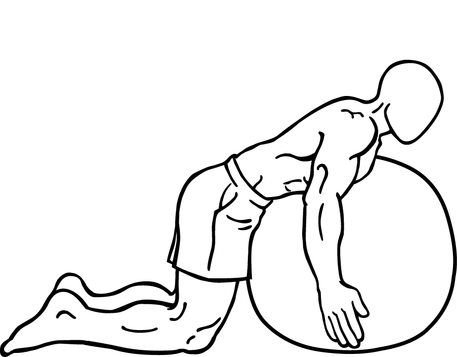 Back Extension on Stability Ball 2 back extension on stability ball 2