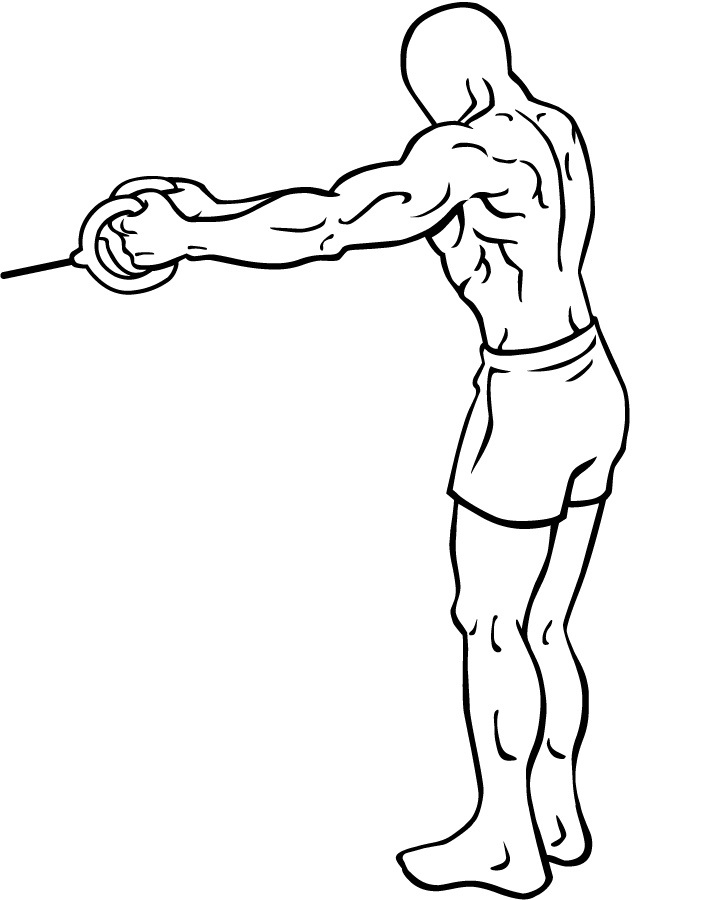 Back Flyes with Exercise Bands: A Comprehensive Guide for 2024 2 back flyes with resistance bands 2