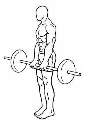 Mastering the Art of Barbell Deadlifts 2 barbell dead lifts 1