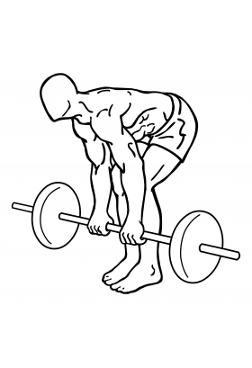 Mastering the Art of Barbell Deadlifts 3 barbell dead lifts 2