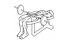 Barbell Front Raise and Pullover 2 barbell front raise pullover 1