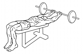 Barbell Front Raise and Pullover 3 barbell front raise pullover 2