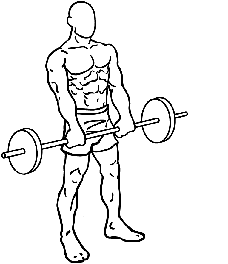 Front Barbell Raises 2