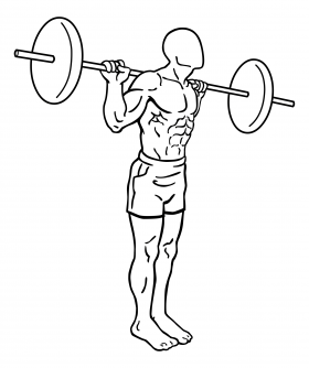 barbell good mornings 1