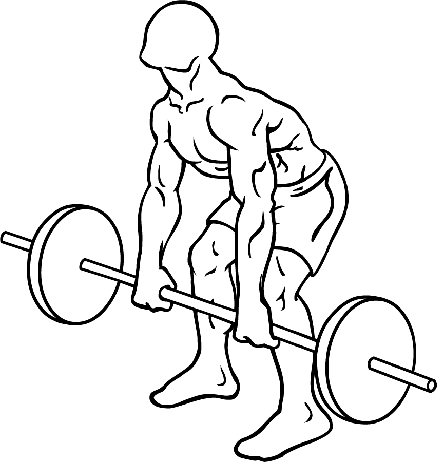 Rear Deltoid Row Barbell 1