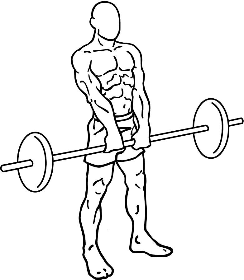 Upright Barbell Rows 2