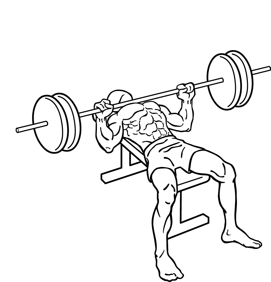bench press 2