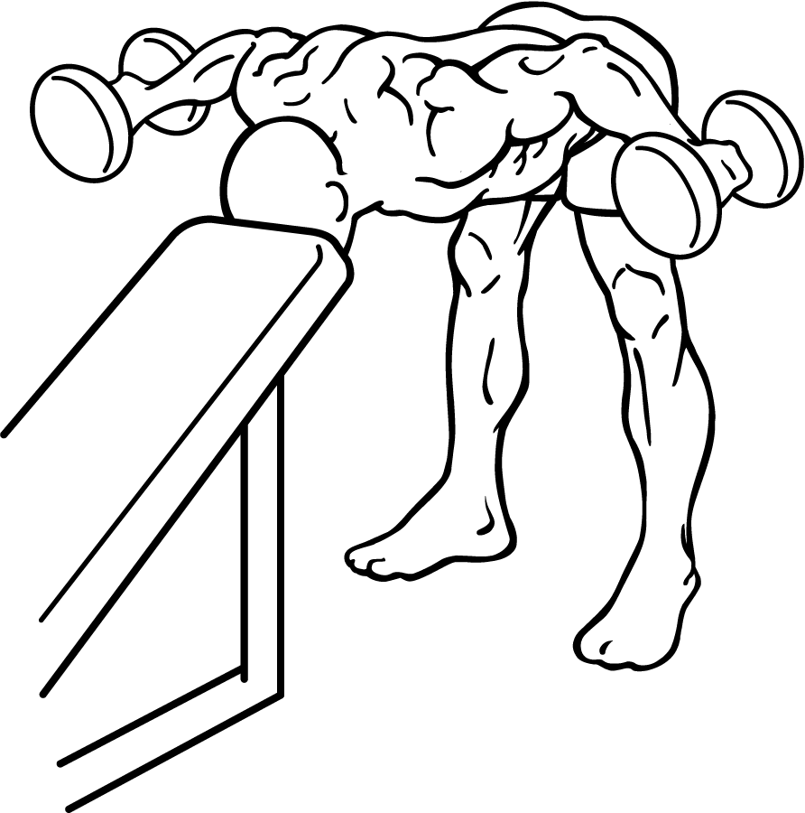 Bent Over Rear Deltoid Raise With Head On Bench 3 bent over rear delt row with head on bench 1
