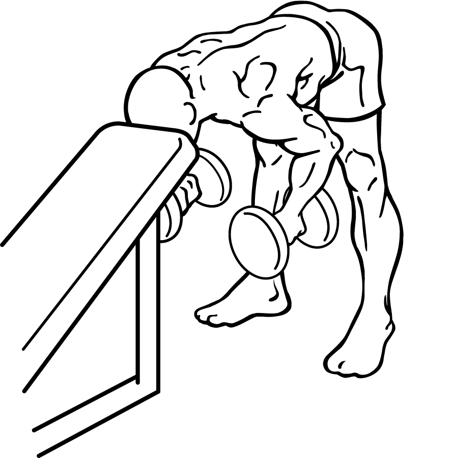 Bent Over Rear Deltoid Raise With Head On Bench 2 bent over rear delt row with head on bench 2