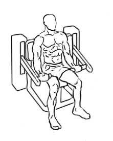 Bicep Curl with a Machine 4 bicep curl with a machine 1