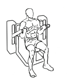 Bicep Curl with a Machine 5 bicep curl with a machine 2
