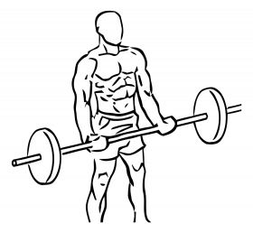 Bicep Curls with Barbell 2 Bicep Curls with Barbell1