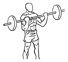 Bicep Curls with Barbell 3 Bicep Curls with Barbell 2
