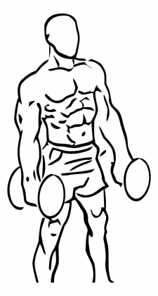 bicep curl dumbbell1