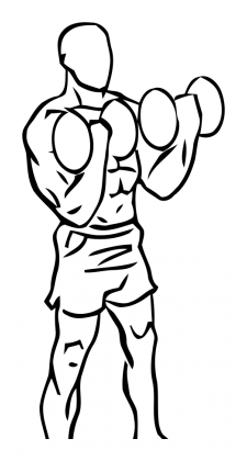 bicep curl dumbbell2