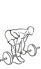 Bicep Curl with Deadlift with Barbell 4 bicep curl with deadlift 1
