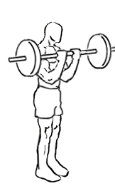 Bicep Curl with Deadlift with Barbell 5 bicep curl with deadlift 2