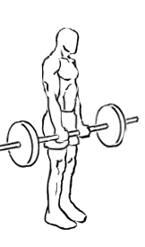 Bicep Curl with Deadlift with Barbell 6 bicep curl with deadlift 3