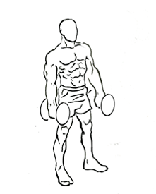 Bicep Hammer Curl with Dumbbell 4 Bicep Hammer Curl with Dumbbell 1