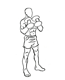 Bicep Hammer Curl with Dumbbell 5 Bicep Hammer Curl with Dumbbell 2