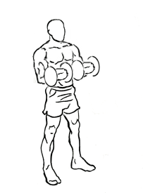 Biceps Curl Reverse with Dumbbells 5 Biceps Curl Reverse with Dumbbells 2