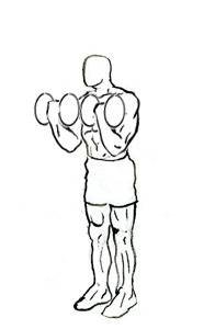 Biceps Curl Squat with Dumbbell 2