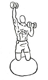 Biceps Curl with Overhead Extension using Dumbbells on Stability Ball 5 biceps curl with overhead extension kneeling on sb 2