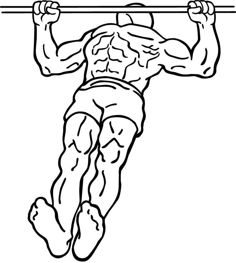 Body Row 3 body row 1