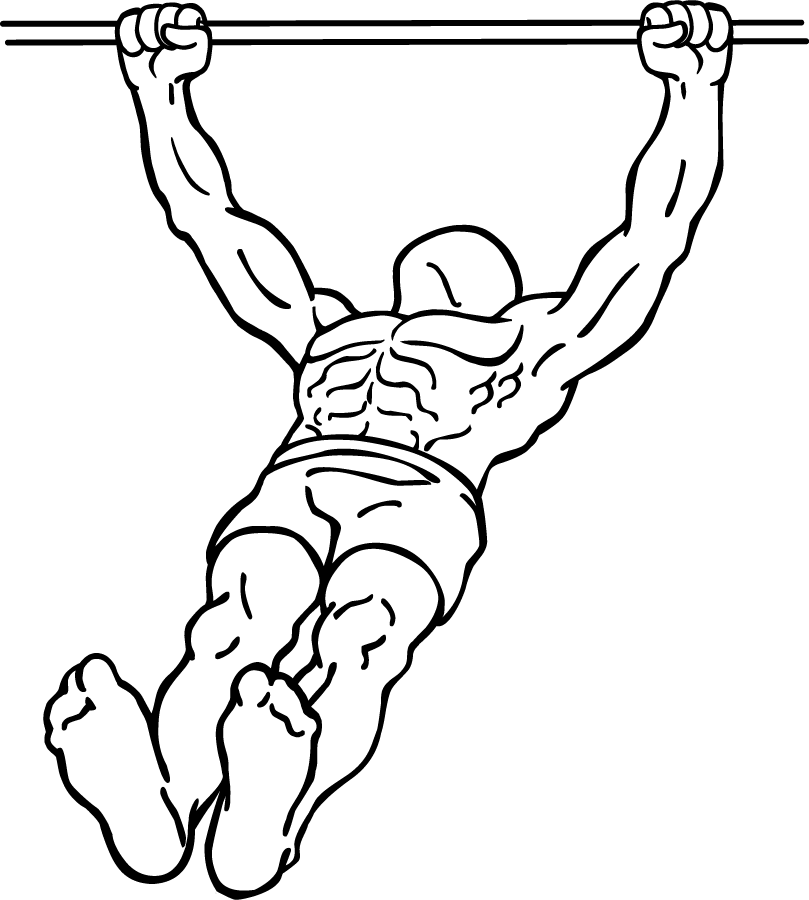 Body Row 2 body row 2