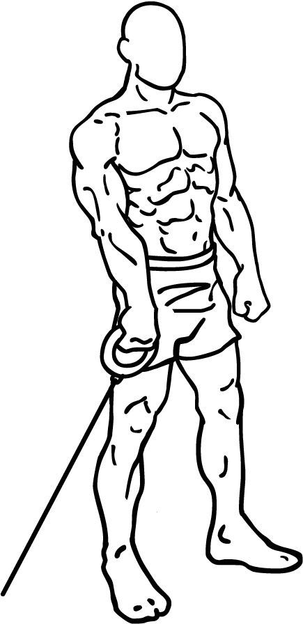 Front Cable Raises 2