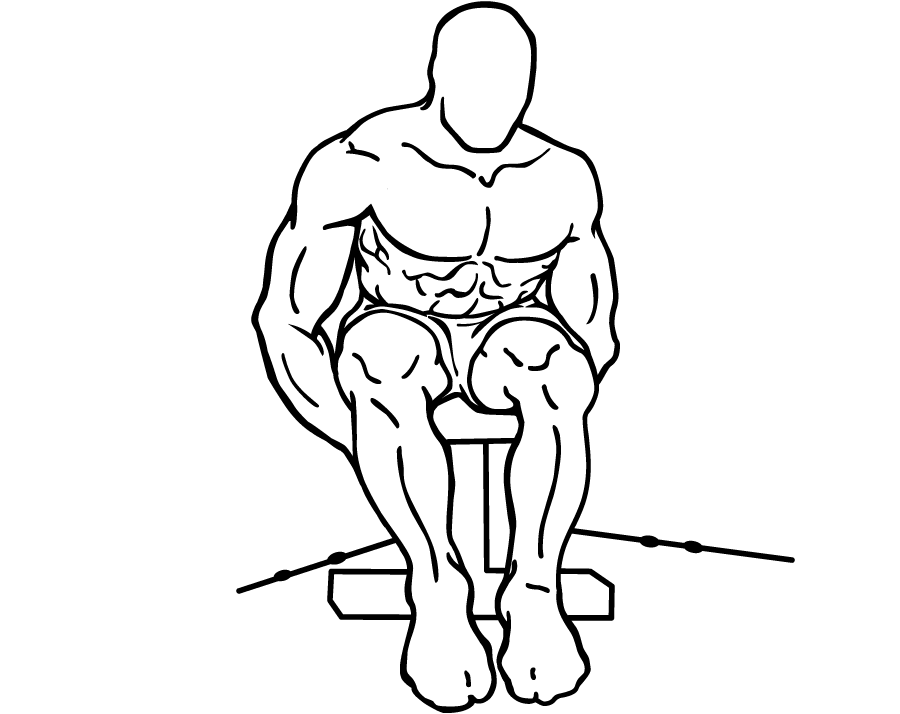 Seated Rear Lateral Cable Raise 2 Seated Rear Lateral Cable Raise 2