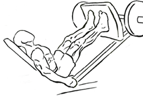 calves press on leg machine 1