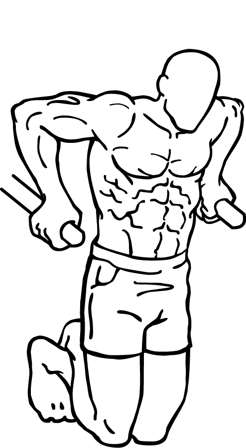 chest dips 2
