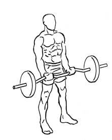 close-grip ez bar curl 1