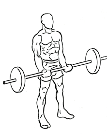 close-grip standing bicep curls 1
