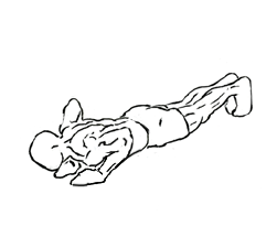 close triceps push-up 1