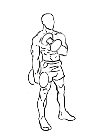 Cross Body Hammer Curls with Dumbbell 4 Cross Body Hammer Curls with Dumbbell 2