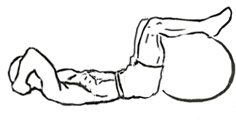Crunches with Legs on a Stability Ball 4 Crunches with Legs on a Stability Ball 1