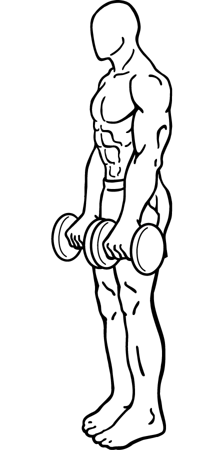 Dumbbell DeadLifts 2 Dumbbell Deadlifts 1